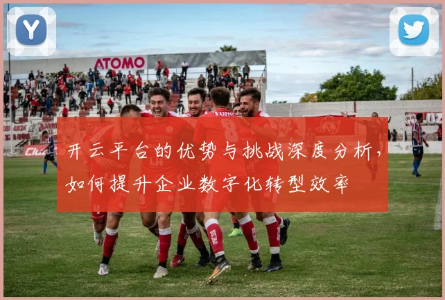 开云平台的优势与挑战深度分析，如何提升企业数字化转型效率