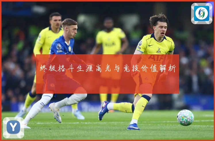 终极格斗生涯高光与竞技价值解析