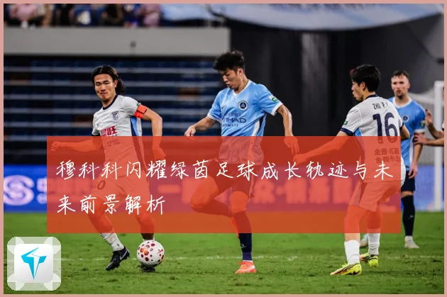 穆科科闪耀绿茵足球成长轨迹与未来前景解析