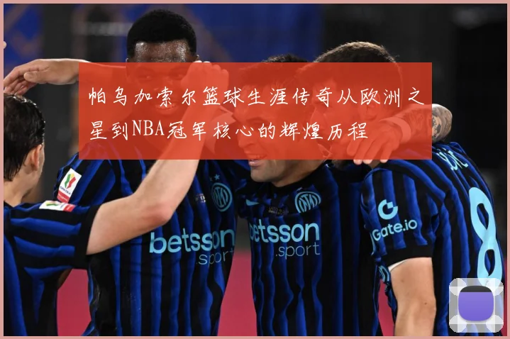 帕乌加索尔篮球生涯传奇从欧洲之星到NBA冠军核心的辉煌历程