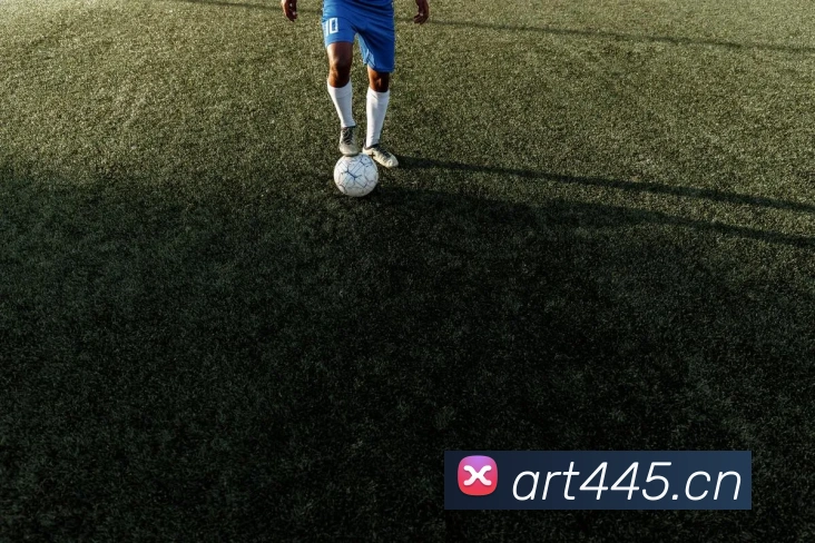 多媒体互动体验