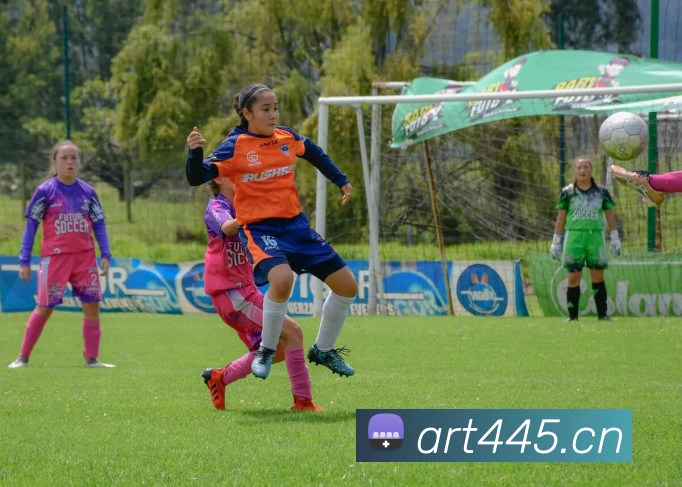 开云官网APP 体育赛事宣传图